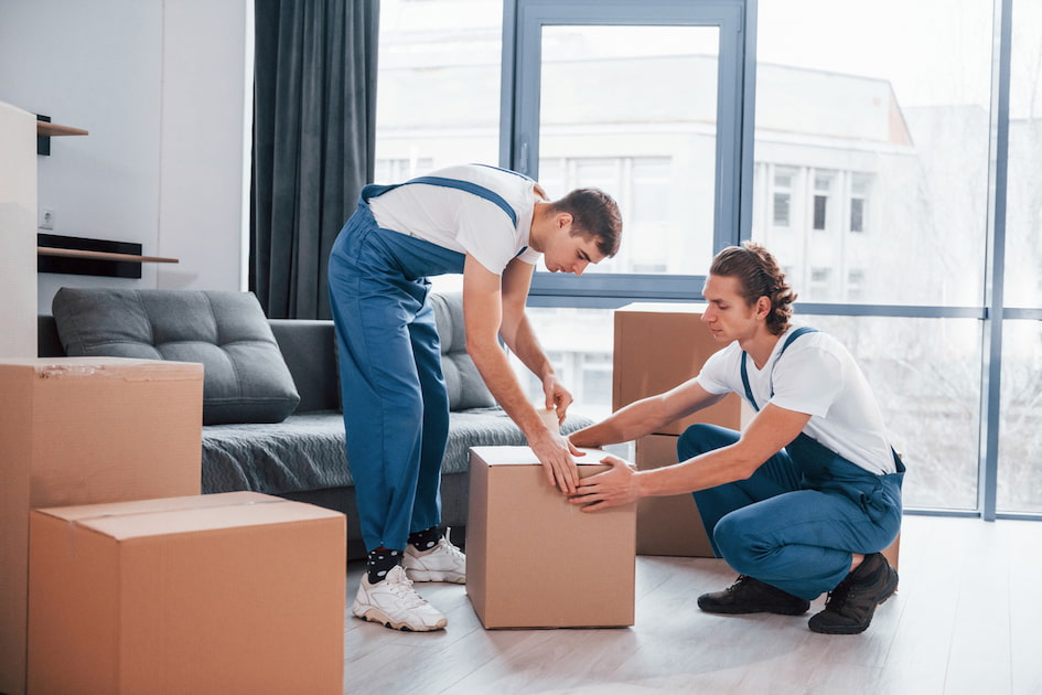 Auckland Best Movers